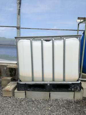 IBC (Intermediate Bulk Container) - Plastic on Aster Vender