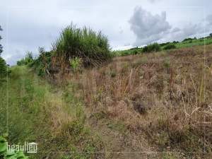Agricultural land of 1 arpent 4 perches is for sale in La Flora - Land on Aster Vender