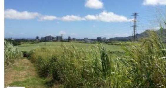 Terre agricole  - Land