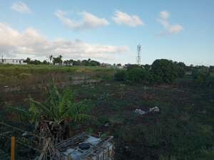 Terrain agricole -50 perches - Land on Aster Vender