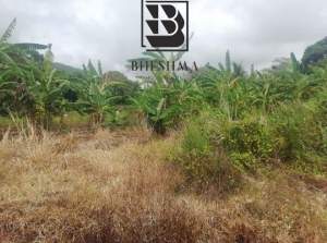 50 perches Royal Road Clemencia @Rs 85,000/perche - Land