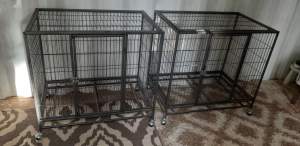 Cat & dog cage - Dogs on Aster Vender