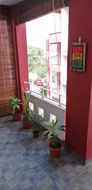 2 bedroom apartment 50mts from the Pereybere beach - Apartments