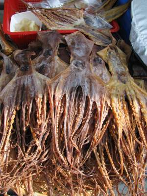 Ourite sec_dried octopus - Other foods and drinks