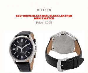 Citizen Watch - Others