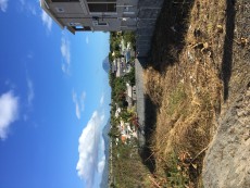 À vendre 110ts rivière noire - Land on Aster Vender