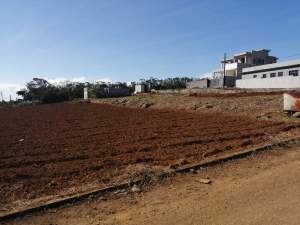 Terrain a vendre floreal  - Land