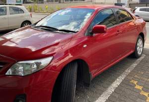 toyota - Family Cars