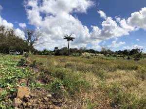 Flacq - Agricultural Land - 66 perches - Land on Aster Vender