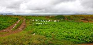 Agricultural land  1,000,000 per Arpent - Land on Aster Vender
