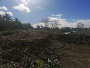 Land for sale at Calodyne - Land