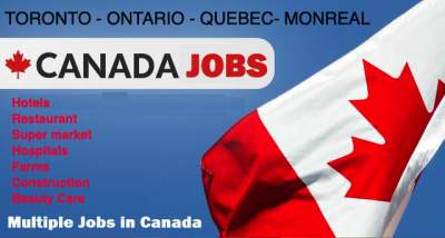 PROFESSIONAL JOB RECRUITERS (MAURITIUS) LTD - Jobs on Aster Vender