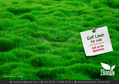 Golf Lawn - Plants and Trees on Aster Vender