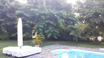 Wooden Sunbed set for sale Urgent! Rs 12,000 for all! - Garden Furniture on Aster Vender