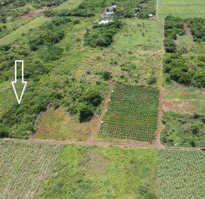 Agricultural land of 22 perches for sale in Petit Raffray  - Land on Aster Vender