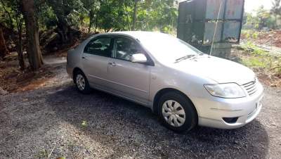 Toyota Corolla 40th Anniversary Special Edition - Family Cars