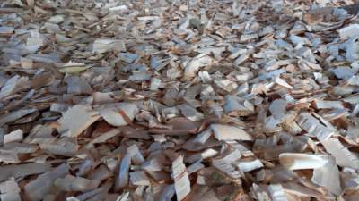 Woodchips - Plants and Trees