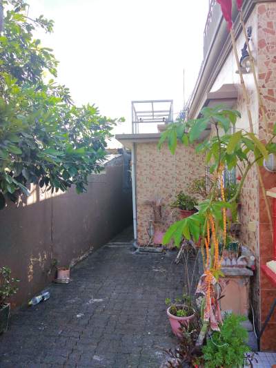 House at boundary Rose hill - House