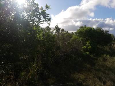 Land for sale at Petit Camp  - Land