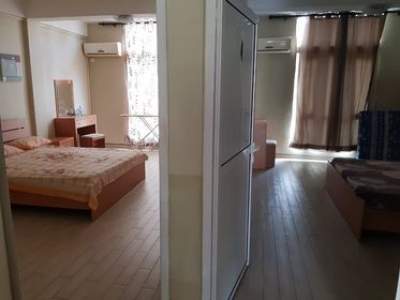 FULLY FURNISHED FLAT ON RENT IN TROU AUX BICHES - Apartments