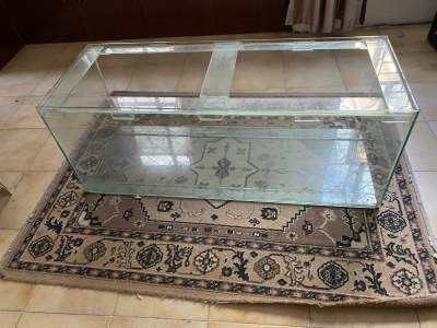 Aquarium SOLD -  Aquarium fish on Aster Vender