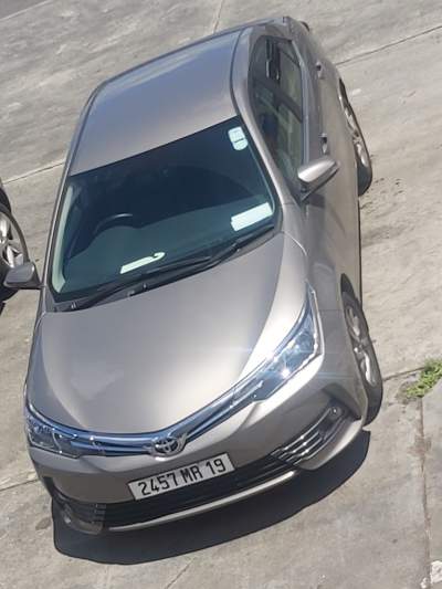 Car sedan - Family Cars