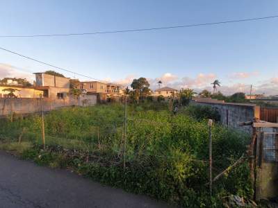 Land for Sale in Centre of Glen-Park, Vacoas - Land