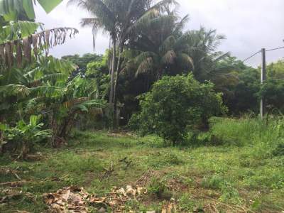 Residental Land in Souillac  - Land