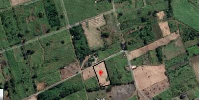 land lallmatie for rent - Land on Aster Vender