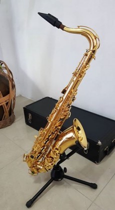 Tenor Saxophone Weril Master(plus all equipments) - Saxophone on Aster Vender