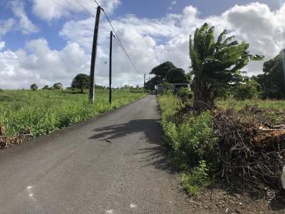 TERRAIN RÉSIDENTIEL - 47 PERCHES - POSTE DE FLACQ - Land on Aster Vender