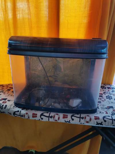 Fish tank - Interior Decor on Aster Vender