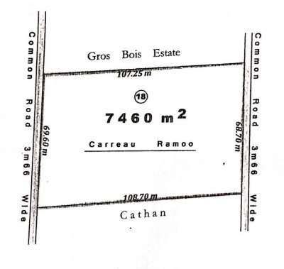 Land for Sale - 176 Perches - Mare D'albert - Land