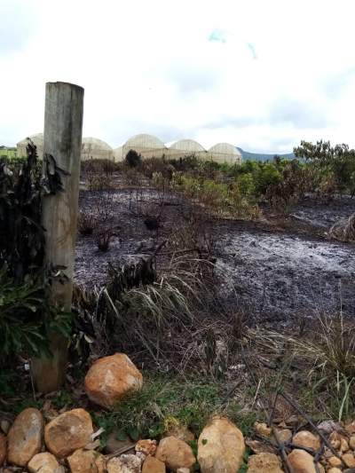 Goodland terrain Residential - Land