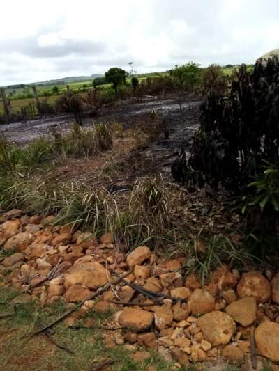 Pamplemousse terrain agricole  - Land