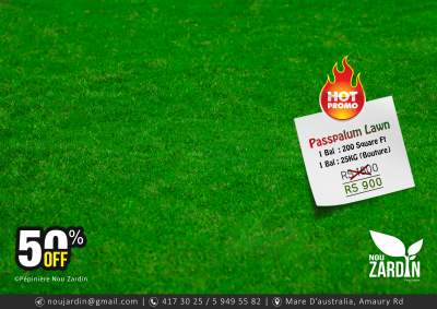 Passpalum Lawn Promo - 50% Off - Plants and Trees on Aster Vender
