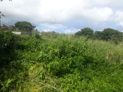 Land for Sale - Prime Location  - Land