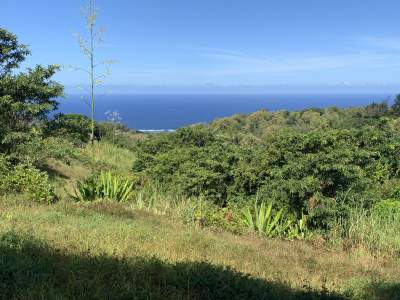 Private land Coromandel Rodrigues - Land