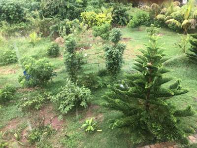 Terrain a vendre - Land