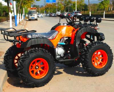 250 CC Quad Bike - Quad bikes