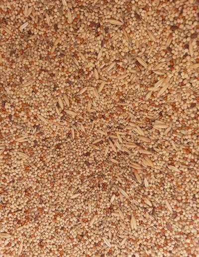 Bal Timile mélanger 25kg  - Pets supplies & accessories on Aster Vender