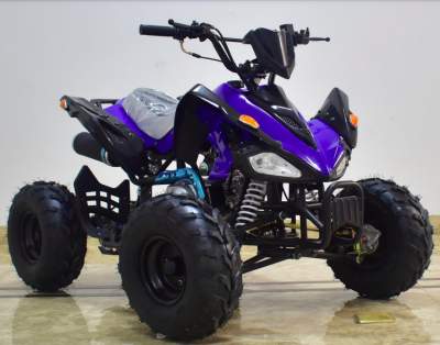 125cc 4-stroke Automatic Quad Bike - Quad bikes