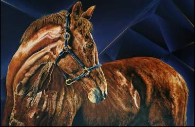 Realistic horse painting with blue and violet abstract background. - Paintings on Aster Vender