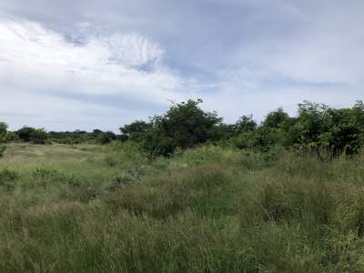 Grand Gaube Residential land - 40 Poles - Land on Aster Vender