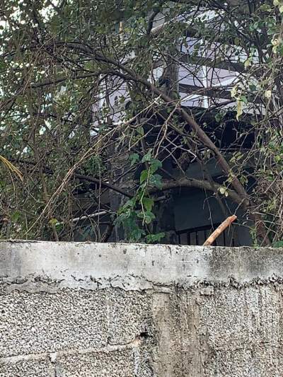 House Balaclava - House