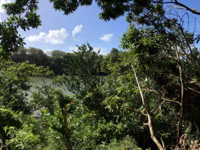 Waterfront Residential Land 955.17 m2 – GRSE – Deux Freres - Land on Aster Vender