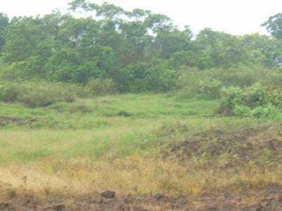  1 arpent 5 perche nouvelle france  - Land on Aster Vender