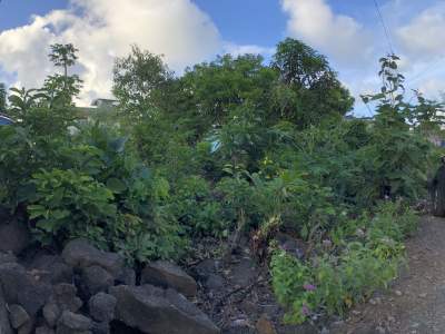 RESIDENTIAL LAND - 11.3 POLES - Land on Aster Vender