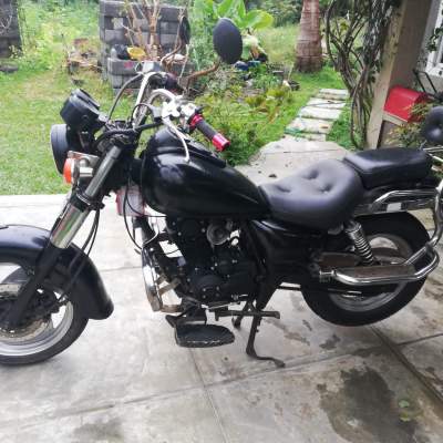 Lifan Motorcycle  - Roadsters