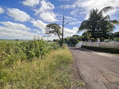 (Ref. MA7-224) Terrain agricole - Mare la Chaux, Flacq - Land